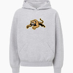 Dater Cougars <span class="pdp-name-mascot">Gilbert A. Dater Cougars</span> MV Sport Youth Buddy Hoodie Front Thumbnail
