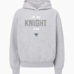HIGLEY HIGH SCHOOL KNIGHTS <span class="pdp-name-mascot">HIGLEY KNIGHTS</span> MV Sport Youth Buddy Hoodie Front Thumbnail