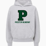 PROCTOR ACADEMY HORNETS <span class="pdp-name-mascot">PROCTOR ACADEMY HORNETS</span> MV Sport Youth Buddy Hoodie Front Thumbnail