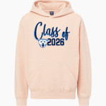 Dominion Polar Bears <span class="pdp-name-mascot">Dominion Middle School Polar bears</span> MV Sport Youth Buddy Hoodie Front Thumbnail
