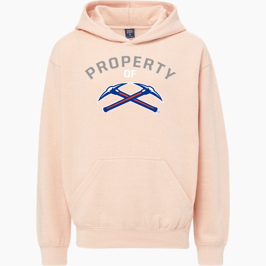 UW-Platteville PIONEERS ONLINE STORE <span class="pdp-name-mascot">UW-Platteville Pioneers</span> MV Sport Youth Buddy Hoodie