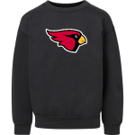 Annandale Cardinals <span class="pdp-name-mascot">Annandale Schools Cardinals</span> MV Sport Youth Buddy Crew Front Thumbnail