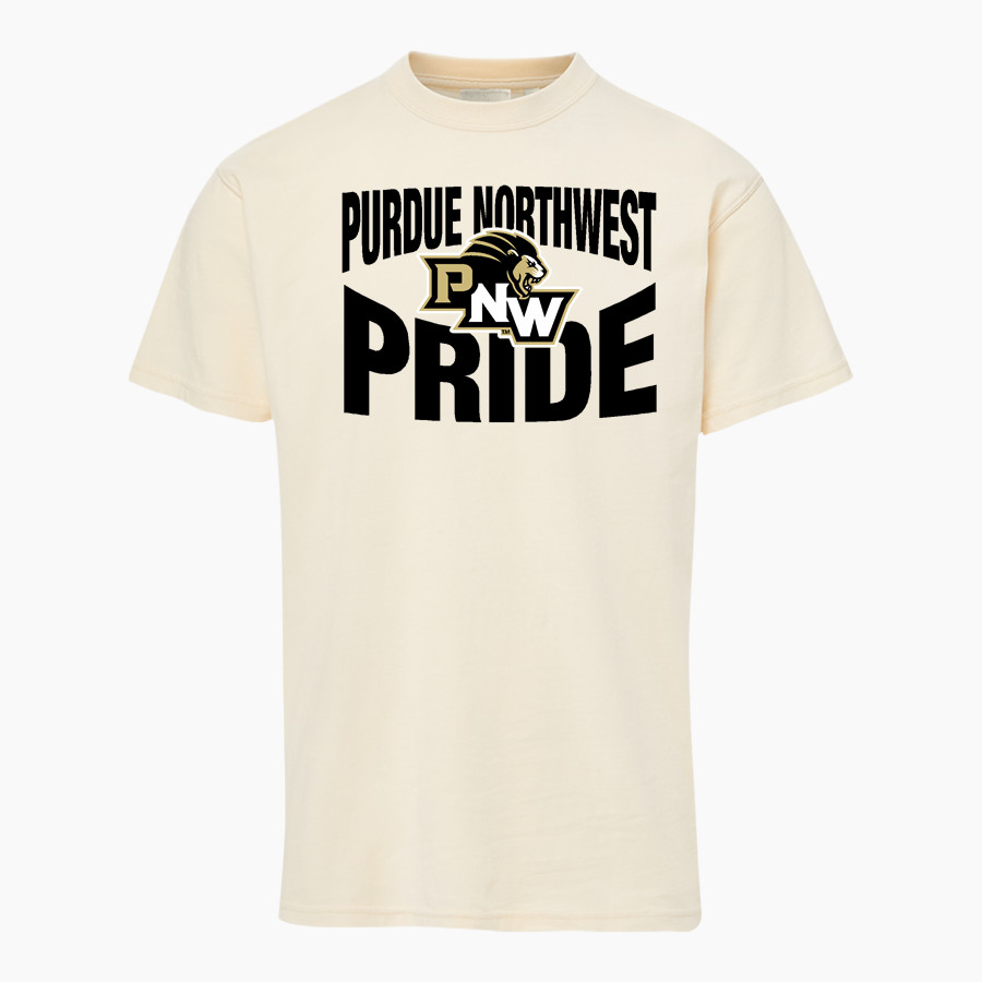 Purdue Northwest Pride MV Sport Men's Short Sleeve Coastal Color Tee