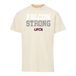 United Faith Christian Academy Store <span class="pdp-name-mascot">United Faith Falcons</span> MV Sport Men's Coastal Color Short Sleeve Tee Front Thumbnail