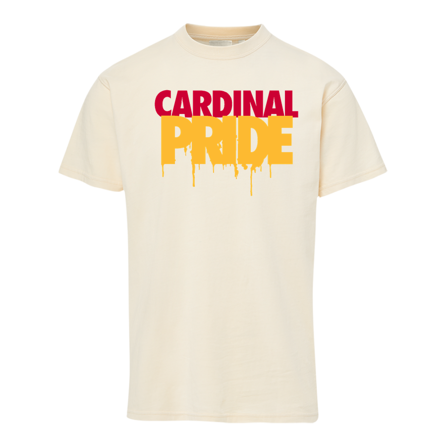 St. Joseph Cardinals <span class="pdp-name-mascot">Saint Joseph Cardinals</span> MV Sport Men's Short Sleeve Coastal Color Tee