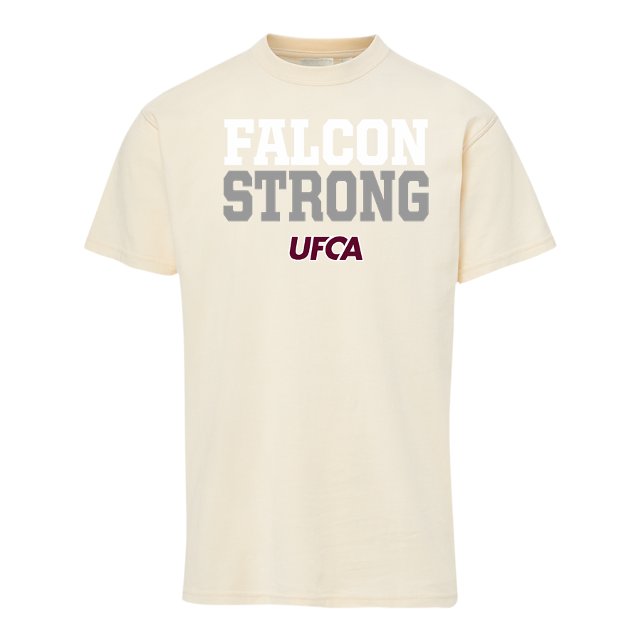 United Faith Christian Academy Store <span class="pdp-name-mascot">United Faith Falcons</span> MV Sport Men's Coastal Color Short Sleeve Tee