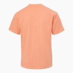 Heidelberg Student Princes MV Sport Men's Short Sleeve Coastal Color Tee Back Thumbnail