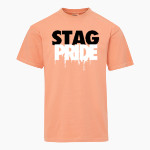 KINGSLEY HIGH SCHOOL STAGS <span class="pdp-name-mascot">KINGSLEY AREA STAGS</span> MV Sport Men's Short Sleeve Coastal Color Tee Front Thumbnail