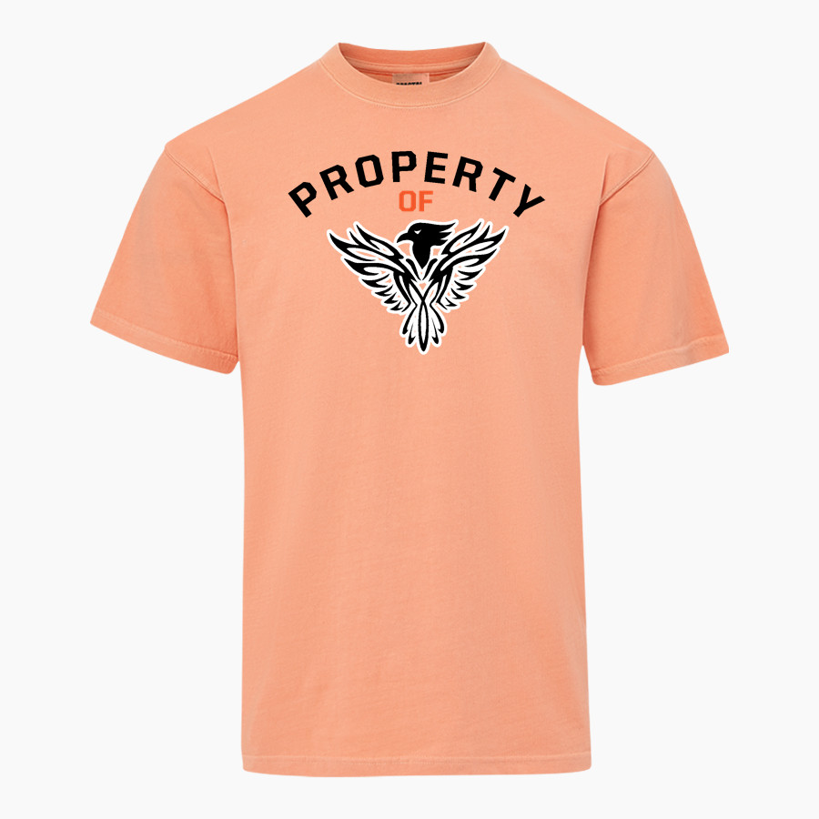 HORACE HOWARD FURNESS HIGH SCHOOL FALCONS <span class="pdp-name-mascot">HORACE HOWARD FURNESS FALCONS</span> MV Sport Men's Short Sleeve Coastal Color Tee
