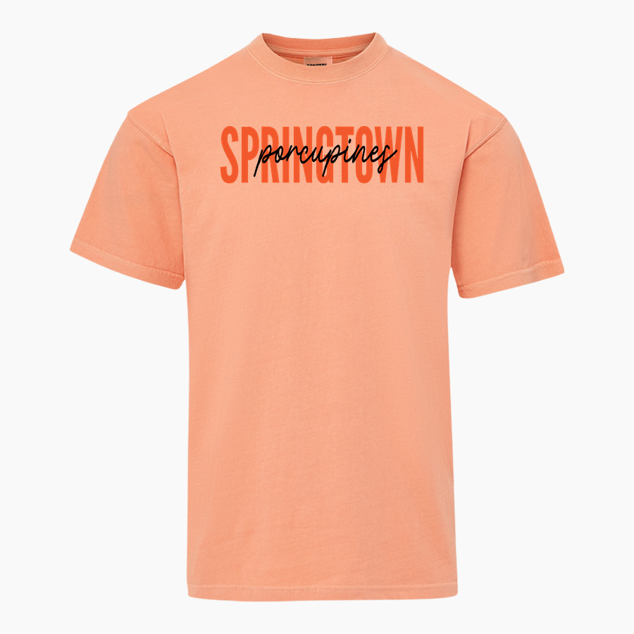 SPRINGTOWN HIGH SCHOOL PORCUPINES MV Sport Men's Short Sleeve Coastal Color Tee