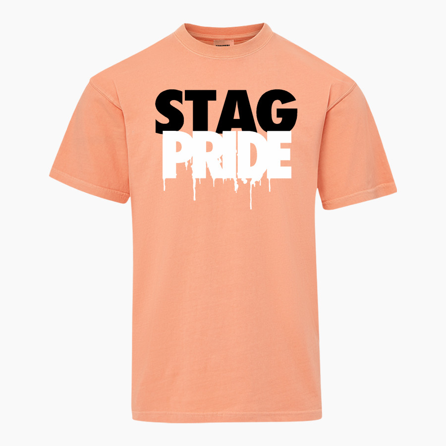 KINGSLEY HIGH SCHOOL STAGS <span class="pdp-name-mascot">KINGSLEY AREA STAGS</span> MV Sport Men's Short Sleeve Coastal Color Tee