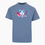 NIAAA - <span class="pdp-name-mascot">NIAAA</span> MV Sport Men's Short Sleeve Coastal Color Tee Front Thumbnail