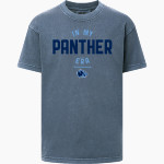 SAINT VINCENT PALLOTTI H S PANTHERS <span class="pdp-name-mascot">SAINT VINCENT PALLOTTI PANTHERS</span> MV Sport Youth Coastal Color Tee Front Thumbnail