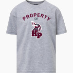 HAZEL PARK HIGH SCHOOL VIKINGS MV Sport Youth Buddy Short Sleeve Tee Front Thumbnail