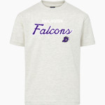 DARLINGTON HIGH SCHOOL FALCONS MV Sport Youth Buddy Short Sleeve Tee Front Thumbnail