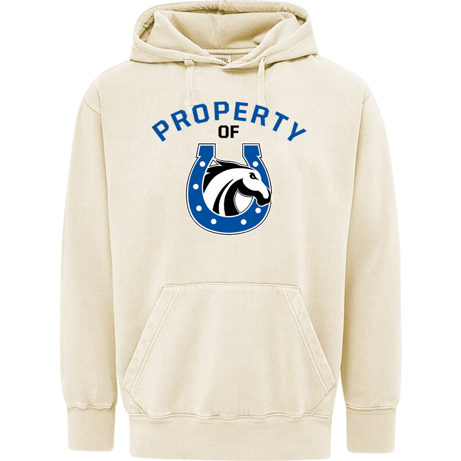 Andrada Mavericks Online Store <span class="pdp-name-mascot">Andrada Mavericks</span> MV Sport Men's Coastal Color Hoodie