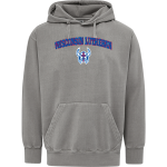 Wisconsin Lutheran Vikings <span class="pdp-name-mascot">Wisconsin Lutheran Vikings</span> MV Sport Men's Coastal Color Hoodie Front Thumbnail