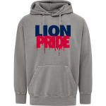 Lakeland Christian Academy Lions <span class="pdp-name-mascot">Lakeland Christian Academy Lions</span> MV Sport Men's Coastal Color Hoodie Front Thumbnail