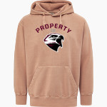 Deer Park Falcons <span class="pdp-name-mascot">Deer Park Falcons</span> MV Sport Men's Coastal Color Hoodie Front Thumbnail
