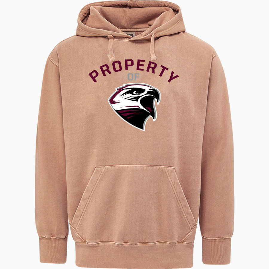 Deer Park Falcons <span class="pdp-name-mascot">Deer Park Falcons</span> MV Sport Men's Coastal Color Hoodie