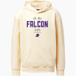 DARLINGTON HIGH SCHOOL FALCONS MV Sport Youth Coastal Color Hoodie Front Thumbnail