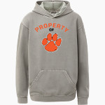 WIRT COUNTY HIGH SCHOOL TIGERS MV Sport Youth Coastal Color Hoodie Front Thumbnail