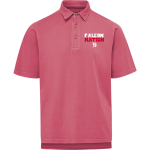 Dunedin Falcons <span class="pdp-name-mascot">Dunedin High School Falcons</span> MV Sport Men's Coastal Color Polo Front Thumbnail