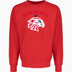 Firebirds Fastpitch The Official Online Store MV Sport Men's Pro-Weave Crewneck Front Thumbnail