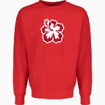 APIS Hawks <span class="pdp-name-mascot">Asia Pacific International GreenHawks</span> MV Sport Men's Pro-Weave Crewneck Front Thumbnail