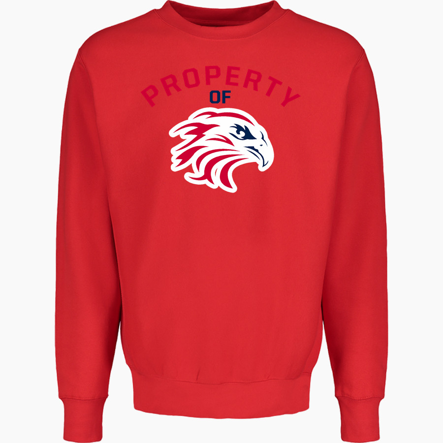Firebirds Fastpitch The Official Online Store MV Sport Men's Pro-Weave Crewneck