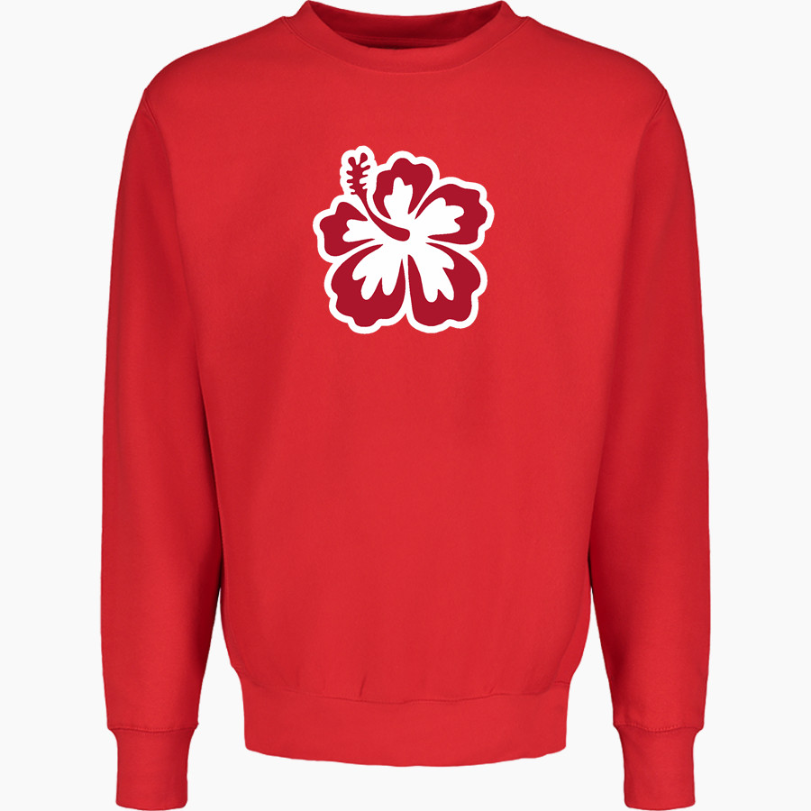 APIS Hawks <span class="pdp-name-mascot">Asia Pacific International GreenHawks</span> MV Sport Men's Pro-Weave Crewneck