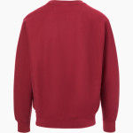 EXTREME SOFTBALL EXTREME SOFTBALL MV Sport Men's Pro-Weave Crewneck Back Thumbnail