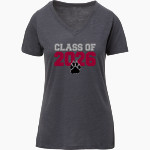 THE DERRYFIELD SCHOOL COUGARS <span class="pdp-name-mascot">THE DERRYFIELD COUGARS</span> MV Sport Women's Vera Ringspun Slub V-Neck Tee Front Thumbnail