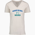 ACHIEVEMENT FIRST AMISTAD HIGH SCHOOL WOLVES <span class="pdp-name-mascot">ACHIEVEMENT FIRST AMISTAD WOLVES</span> MV Sport Women's Vera Ringspun Slub V-Neck Tee Front Thumbnail