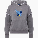 Roger Williams University Hawks MV Sport Women's Mood & Vibe Teegan Crafty Hoodie Front Thumbnail