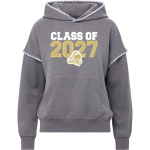 ROYAL HIGH SCHOOL KNIGHTS <span class="pdp-name-mascot">ROYAL KNIGHTS</span> MV Sport Women's Mood & Vibe Teegan Crafty Hoodie Front Thumbnail