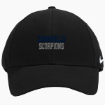 ADOLFO CAMARILLO HIGH SCHOOL SCORPIONS <span class="pdp-name-mascot">ADOLFO CAMARILLO SCORPIONS</span> Nike Dri-FIT Swoosh Flex Cap Front Thumbnail