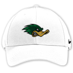 TAYLOR HIGH SCHOOL DUCKS <span class="pdp-name-mascot">TAYLOR DUCKS</span> Nike Dri-FIT Swoosh Flex Cap Front Thumbnail