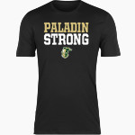 Pinecrest Paladins Nike Men's Short Sleeve Cotton Crew T-Shirt Front Thumbnail