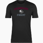 FAITH CHRISTIAN ACADEMY LIONS <span class="pdp-name-mascot">FAITH LIONS</span> Nike Men's Short Sleeve Cotton Crew T-Shirt Front Thumbnail