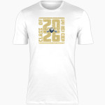 ALPHA OMEGA ACADEMY LIONS <span class="pdp-name-mascot">ALPHA OMEGA ACADEMY LIONS</span> Nike Men's Short Sleeve Cotton Crew T-Shirt Front Thumbnail