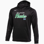 Mount Alvernia Academy Hawks Nike Men's Therma-FIT Pullover Hoodie Front Thumbnail