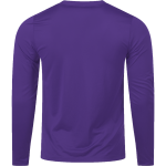 Concordia Tornados <span class="pdp-name-mascot">Concordia University Texas Tornados</span> Nike Men's Team Legend Long Sleeve Tee Back Thumbnail