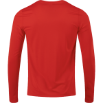 Pulaski Red Raiders <span class="pdp-name-mascot">Pulaski Red Reaiders</span> Nike Men's Team Legend Long Sleeve Tee Back Thumbnail