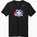 NIAAA - Nike Men's Team Legend Short Sleeve Tee Front Thumbnail