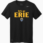Erie Sports Center <span class="pdp-name-mascot">Erie Sports Center</span> Nike Men's Team Legend Short Sleeve Tee Front Thumbnail