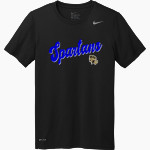 WATERBURY CAREER ACADEMY Spartans <span class="pdp-name-mascot">Waterbury Spartans</span> Nike Men's Team Legend Short Sleeve Tee Front Thumbnail