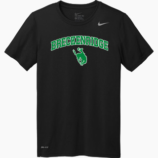 Nike Men's Team Legend Short Sleeve Tee