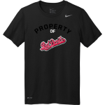 Red Devils Fastpitch <span class="pdp-name-mascot">Red Devils Fastpitch</span> Nike Men's Team Legend Short Sleeve Tee Front Thumbnail