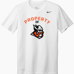 Parkside Vikings <span class="pdp-name-mascot">Parkside Vikings</span> Nike Men's Team Legend Short Sleeve Tee Front Thumbnail